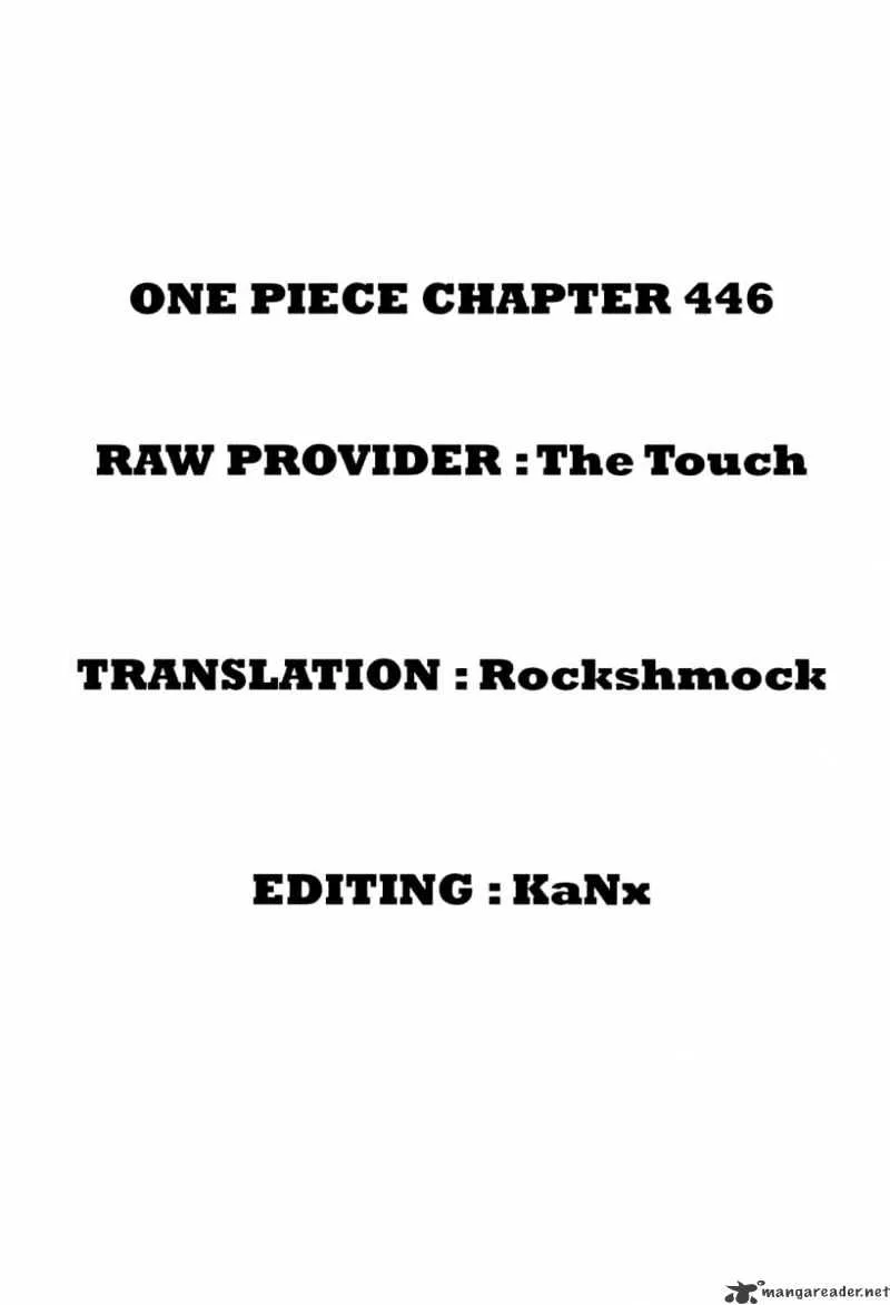 One Piece Chapter 446 page 19