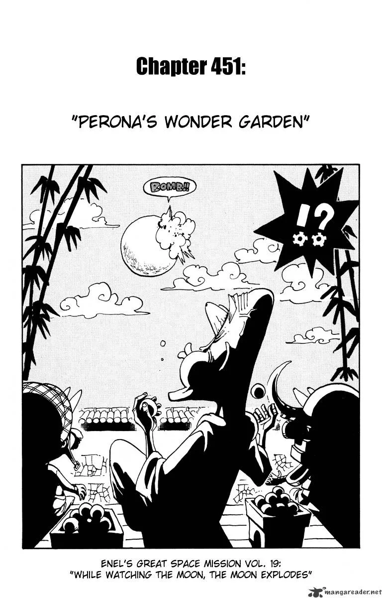 One Piece Chapter 451 page 1