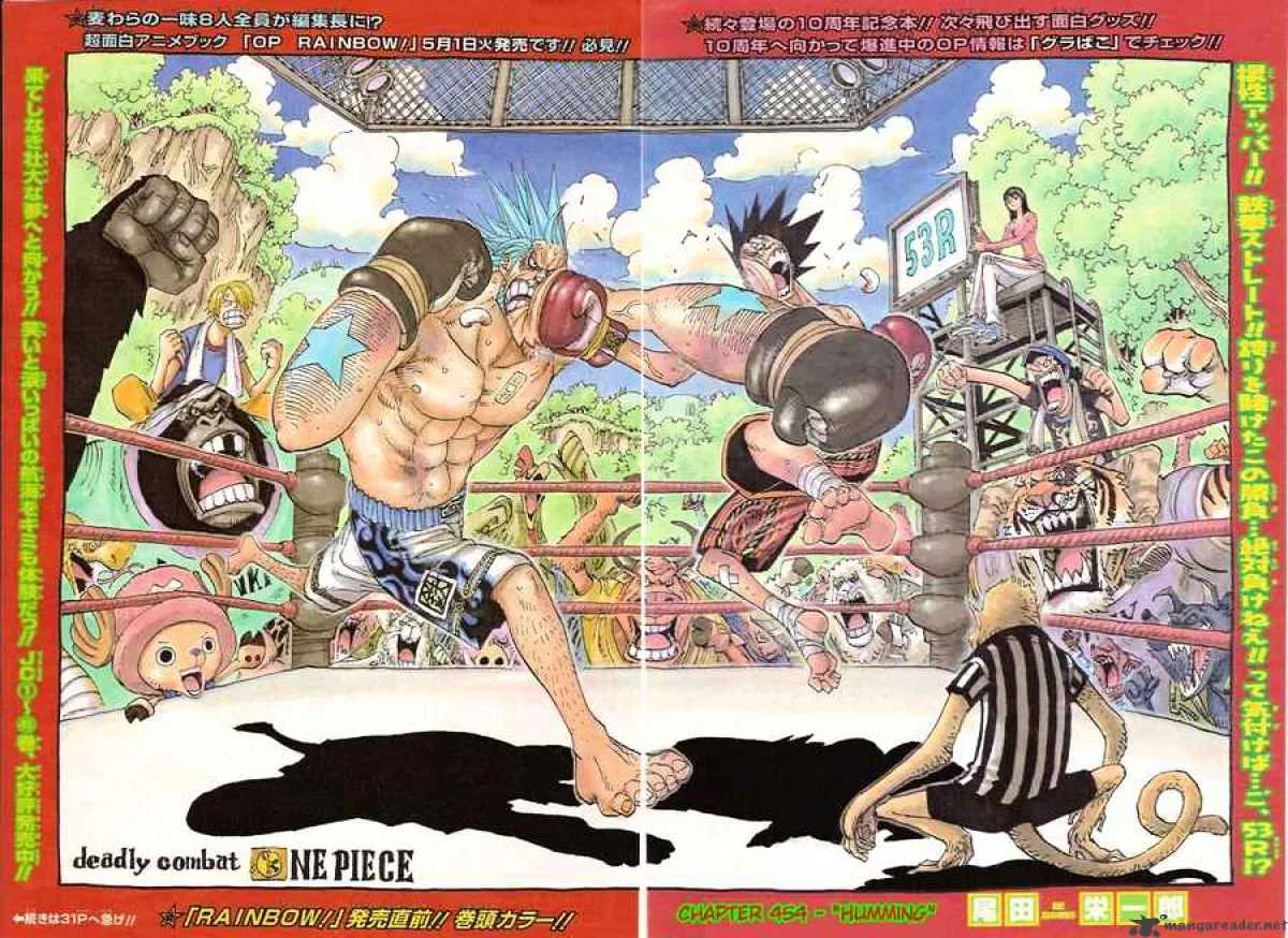 One Piece Chapter 454 page 2