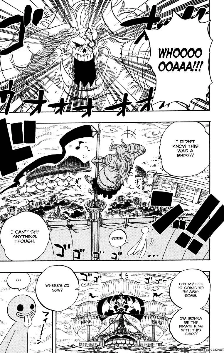 One Piece Chapter 460 page 17