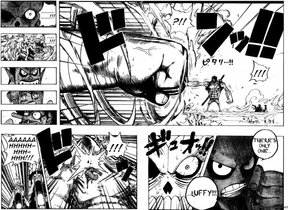 One Piece Chapter 478 page 13