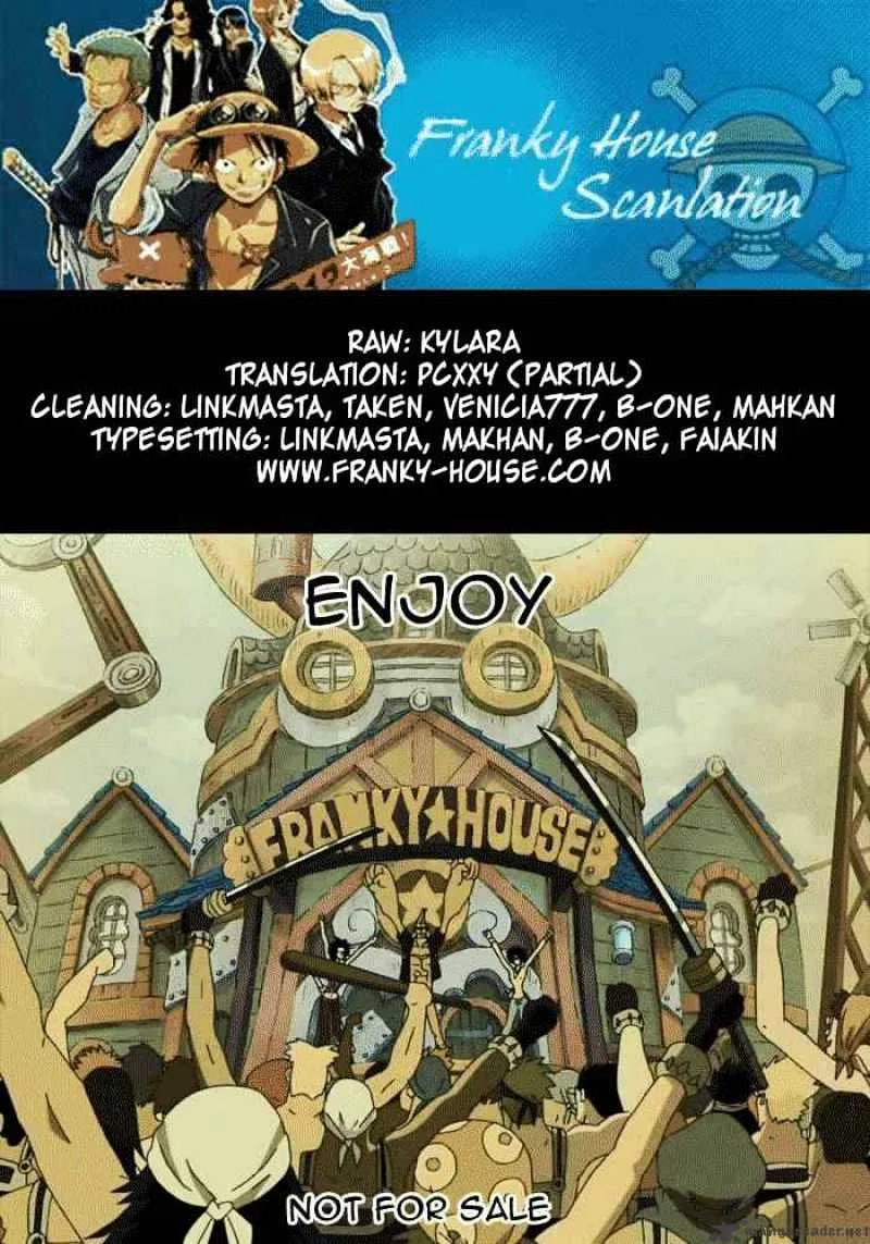 One Piece Chapter 482 page 17