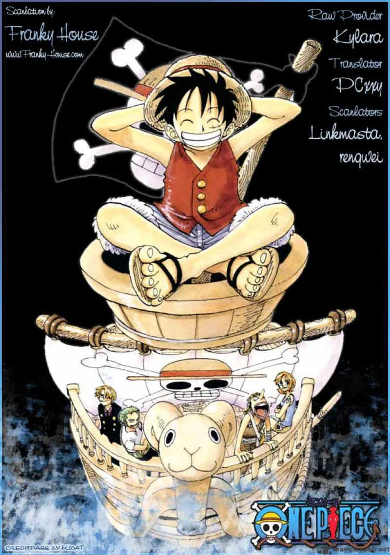 One Piece Chapter 486 page 20