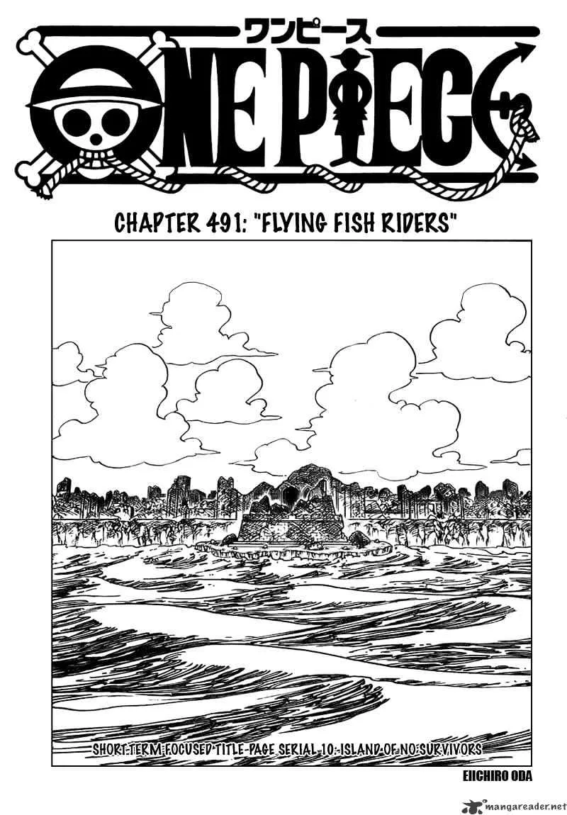 One Piece Chapter 491 page 1