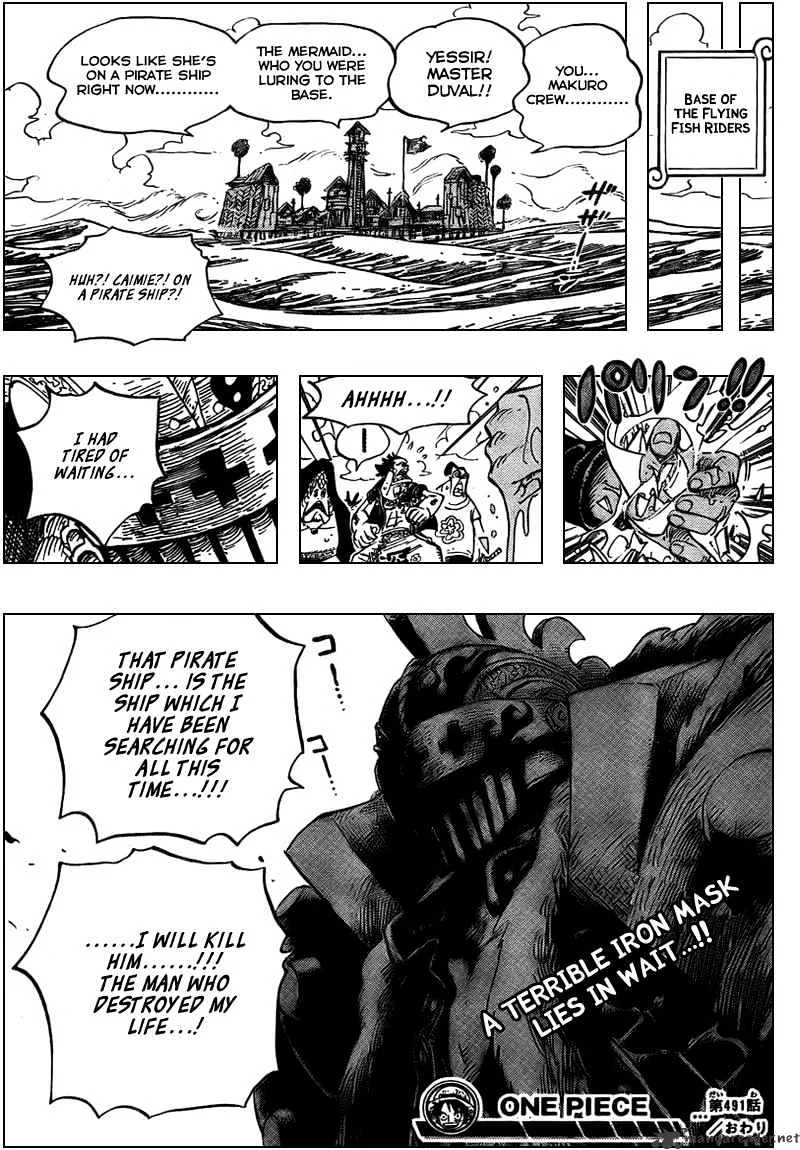 One Piece Chapter 491 page 19