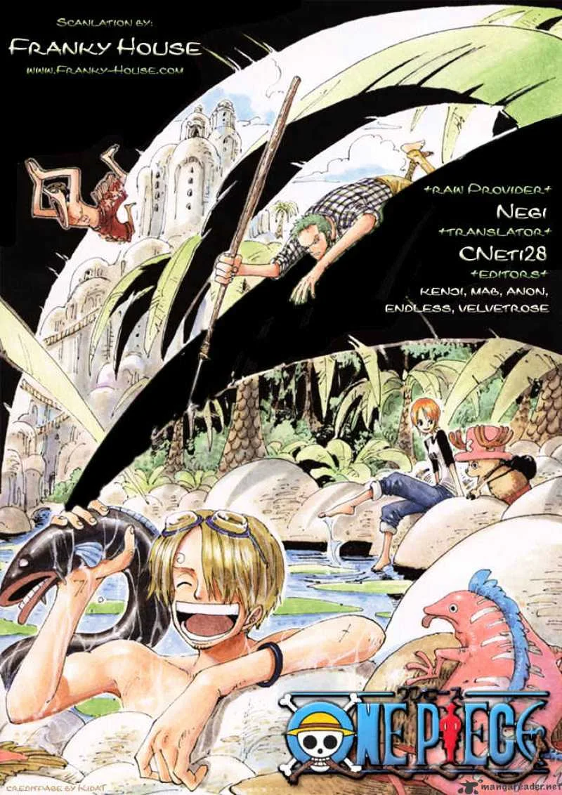 One Piece Chapter 492 page 1