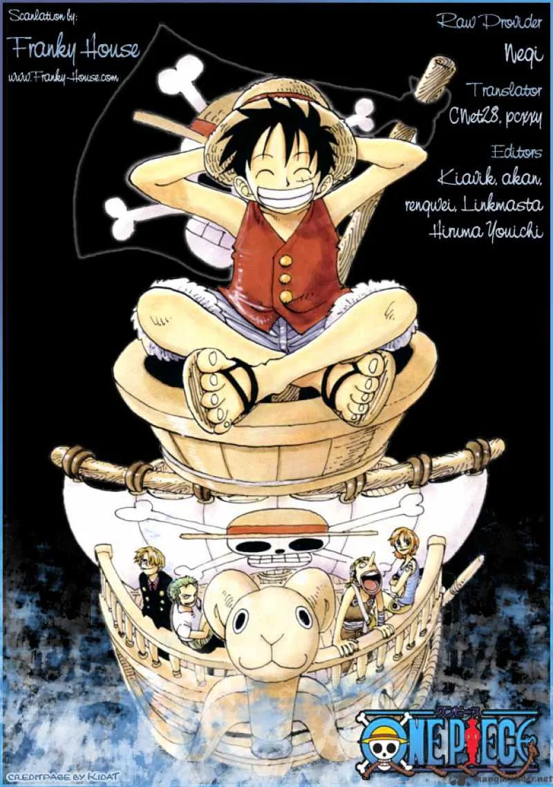 One Piece Chapter 493 page 20