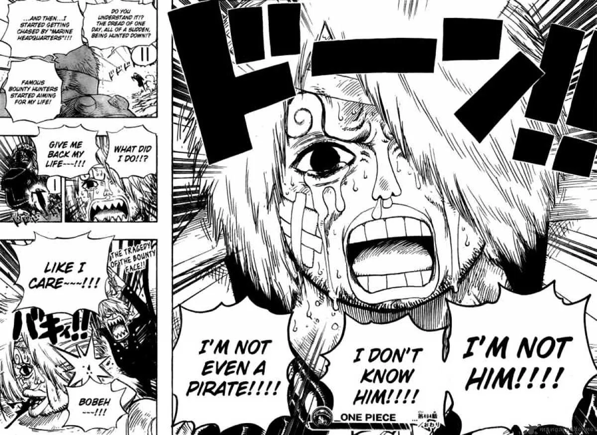 One Piece Chapter 494 page 19