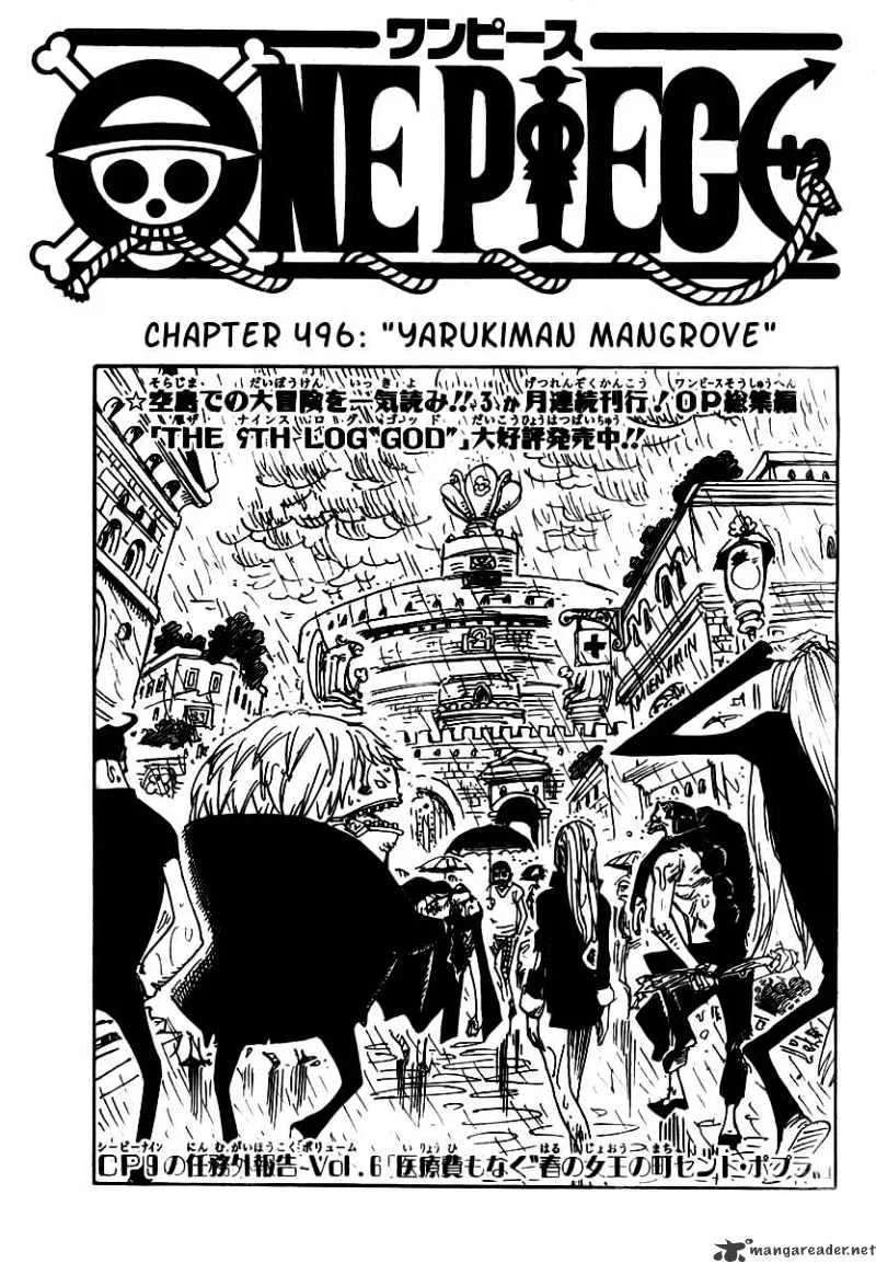 One Piece Chapter 496 page 1