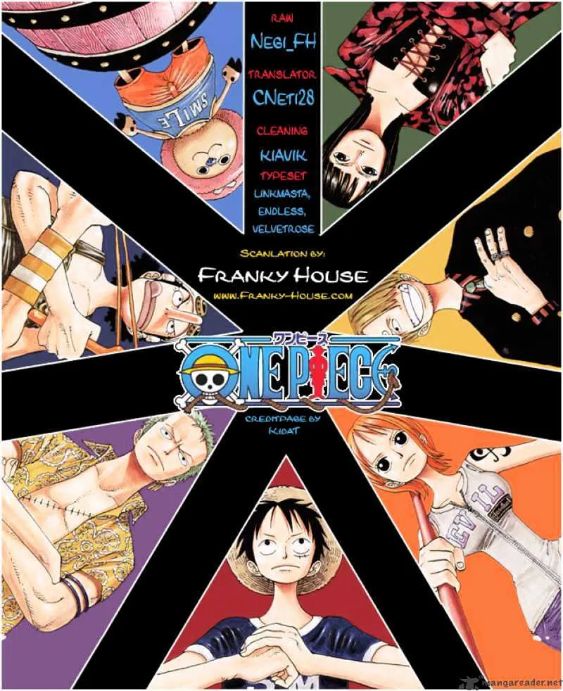 One Piece Chapter 497 page 20