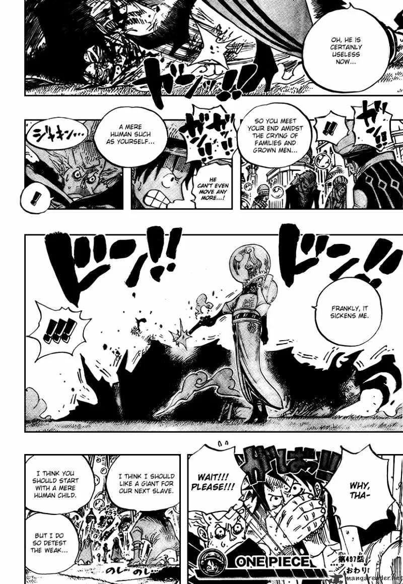 One Piece Chapter 497 page 18