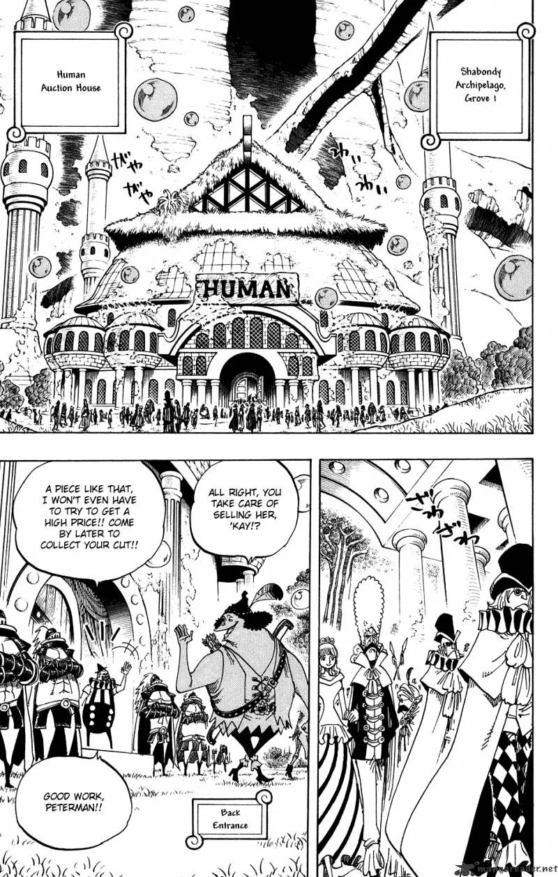 One Piece Chapter 500 page 13
