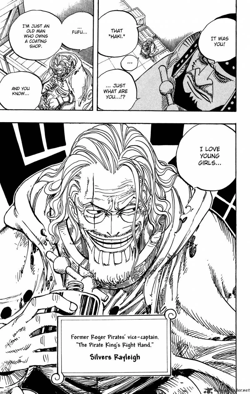 One Piece Chapter 500 page 19