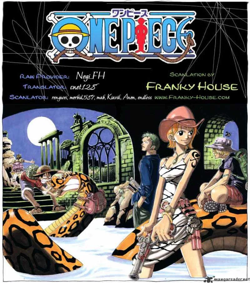 One Piece Chapter 503 page 19