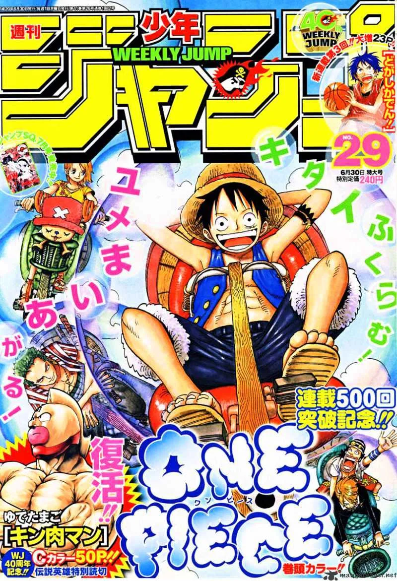 One Piece Chapter 503 page 18