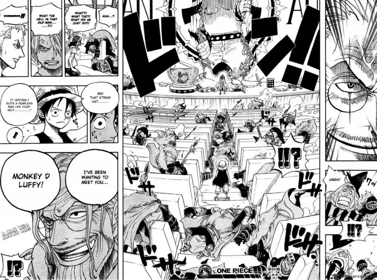 One Piece Chapter 503 page 17
