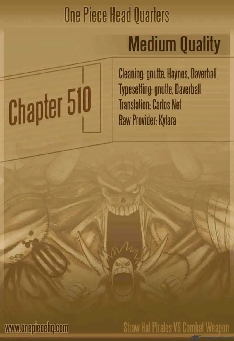One Piece Chapter 510 page 1