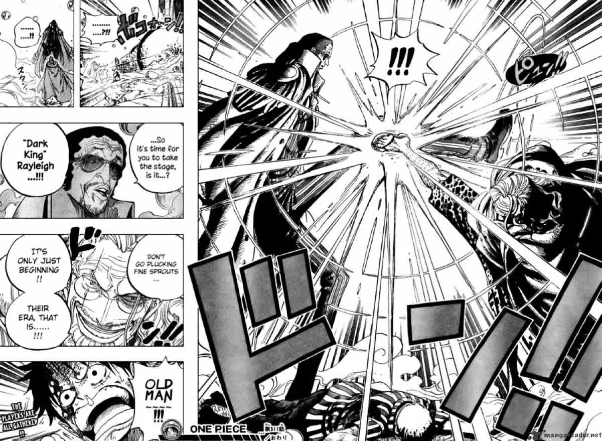 One Piece Chapter 511 page 18