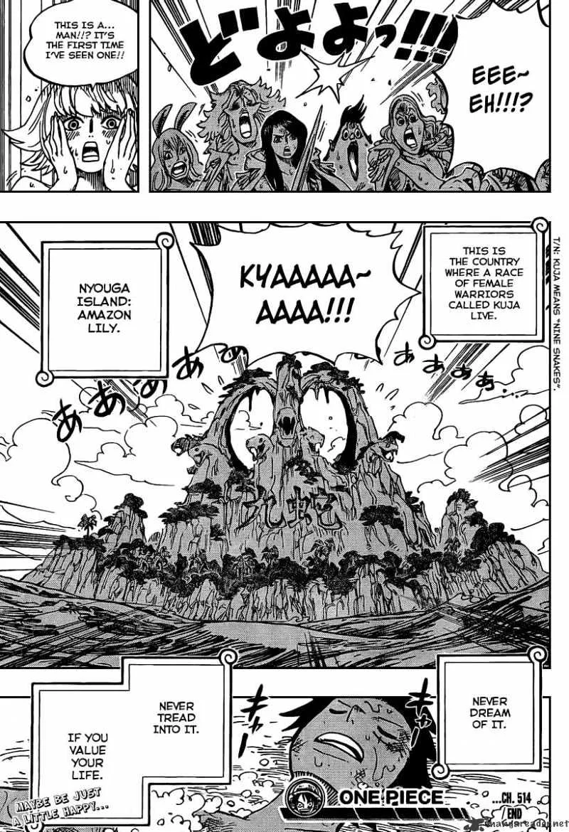 One Piece Chapter 514 page 18