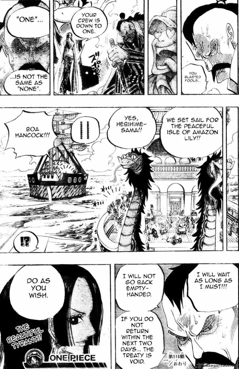 One Piece Chapter 516 page 17