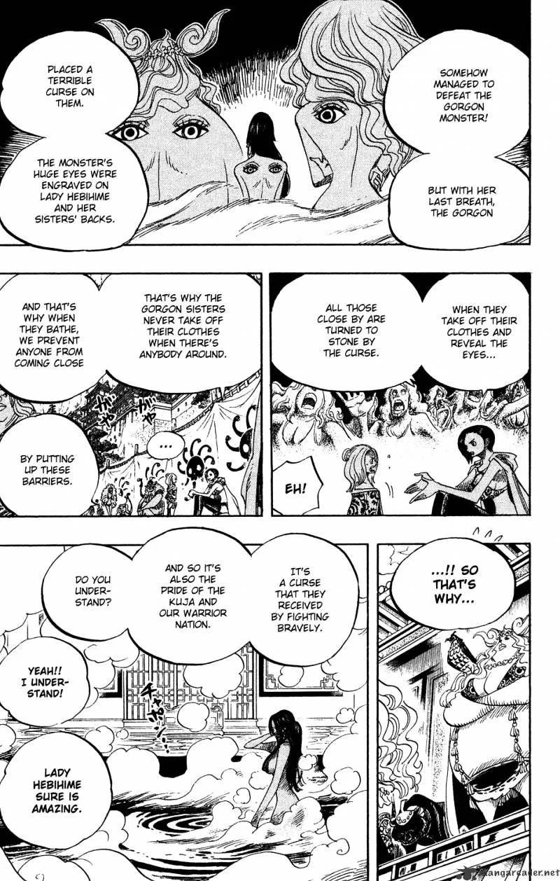 One Piece Chapter 517 page 15