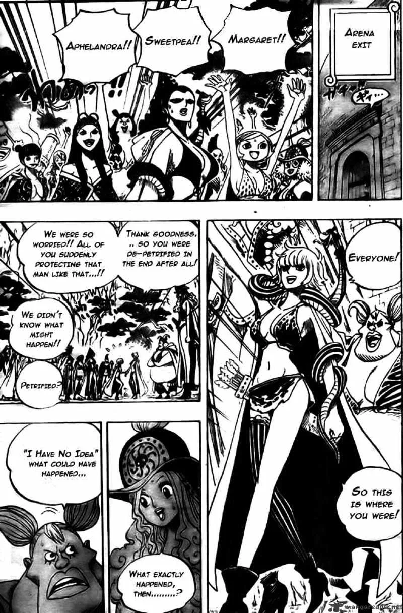 One Piece Chapter 521 page 5