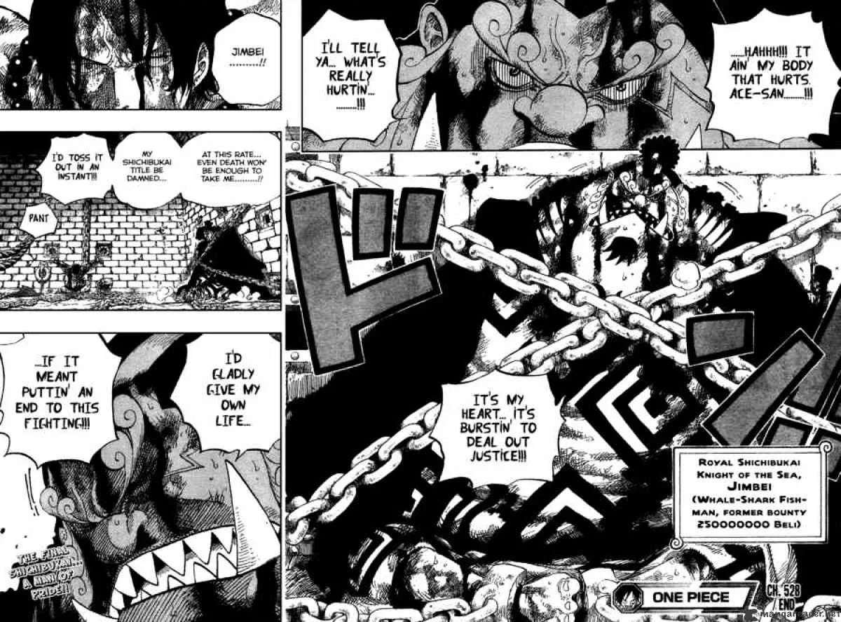 One Piece Chapter 528 page 18