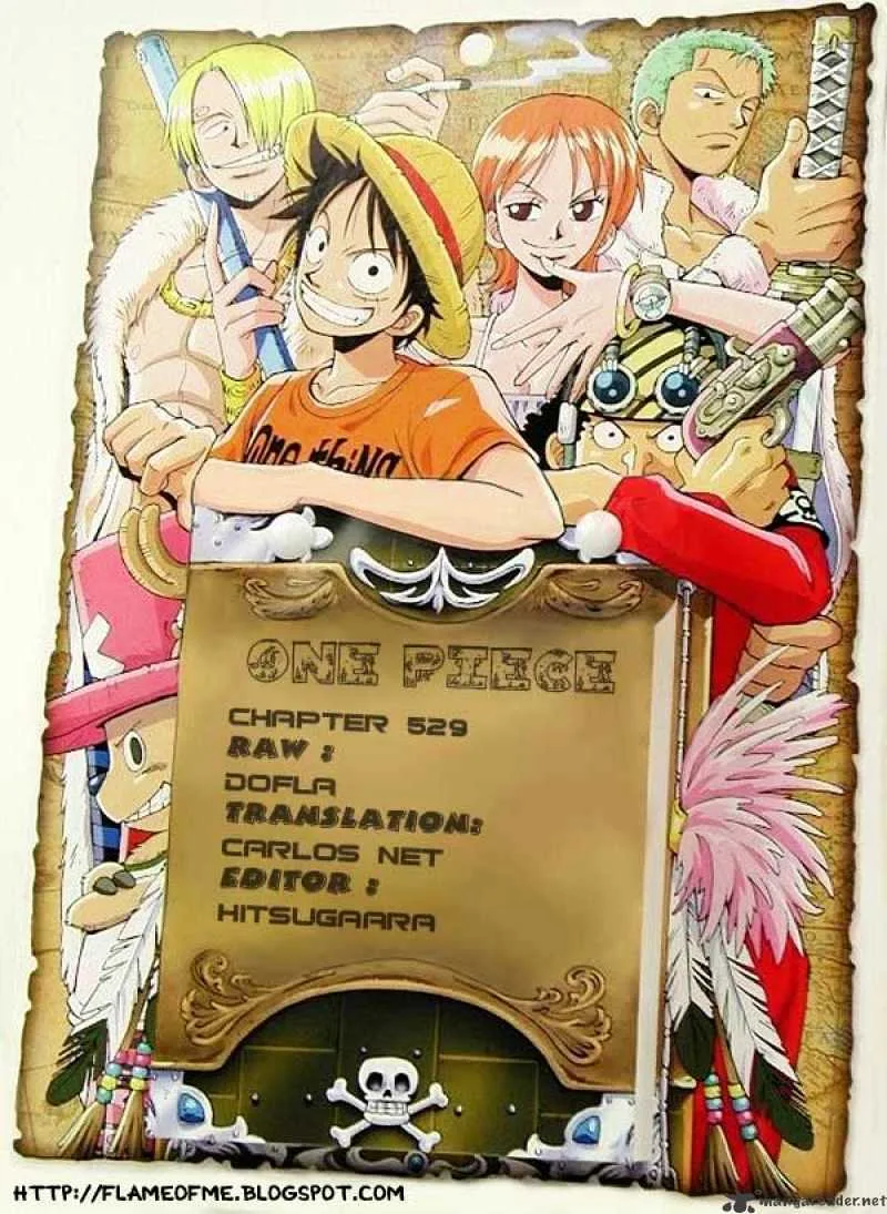 One Piece Chapter 529 page 17