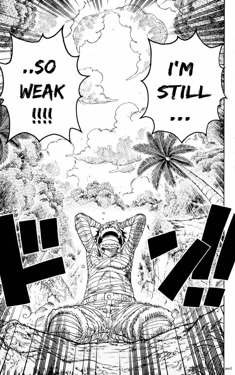One Piece Chapter 589 page 19