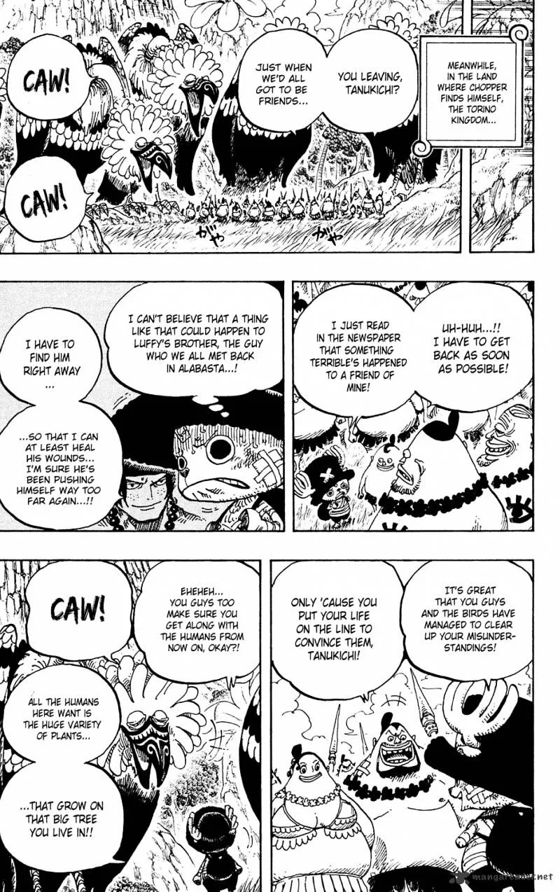 One Piece Chapter 591 page 17