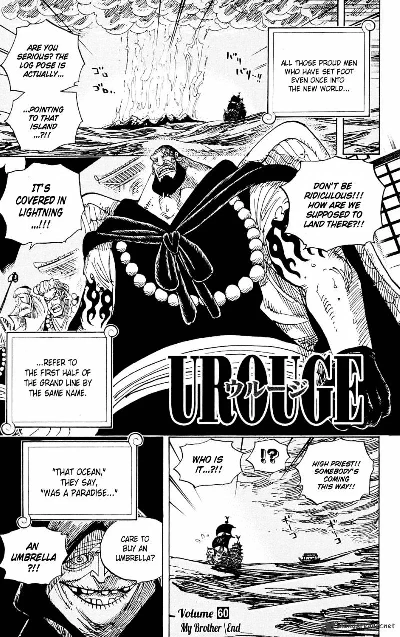 One Piece Chapter 594 page 18