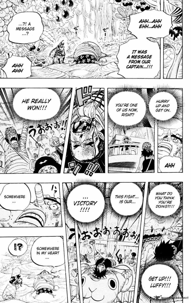 One Piece Chapter 596 page 17