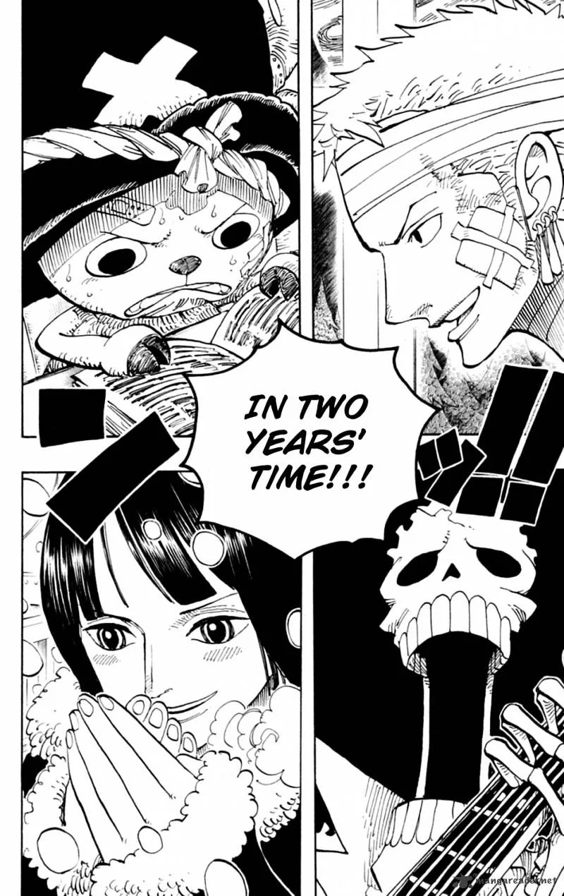 One Piece Chapter 597 page 6