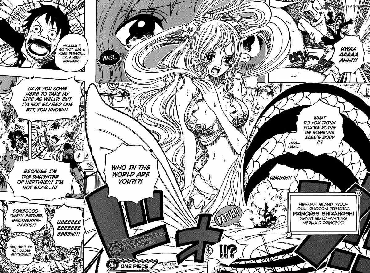 One Piece Chapter 612 page 17