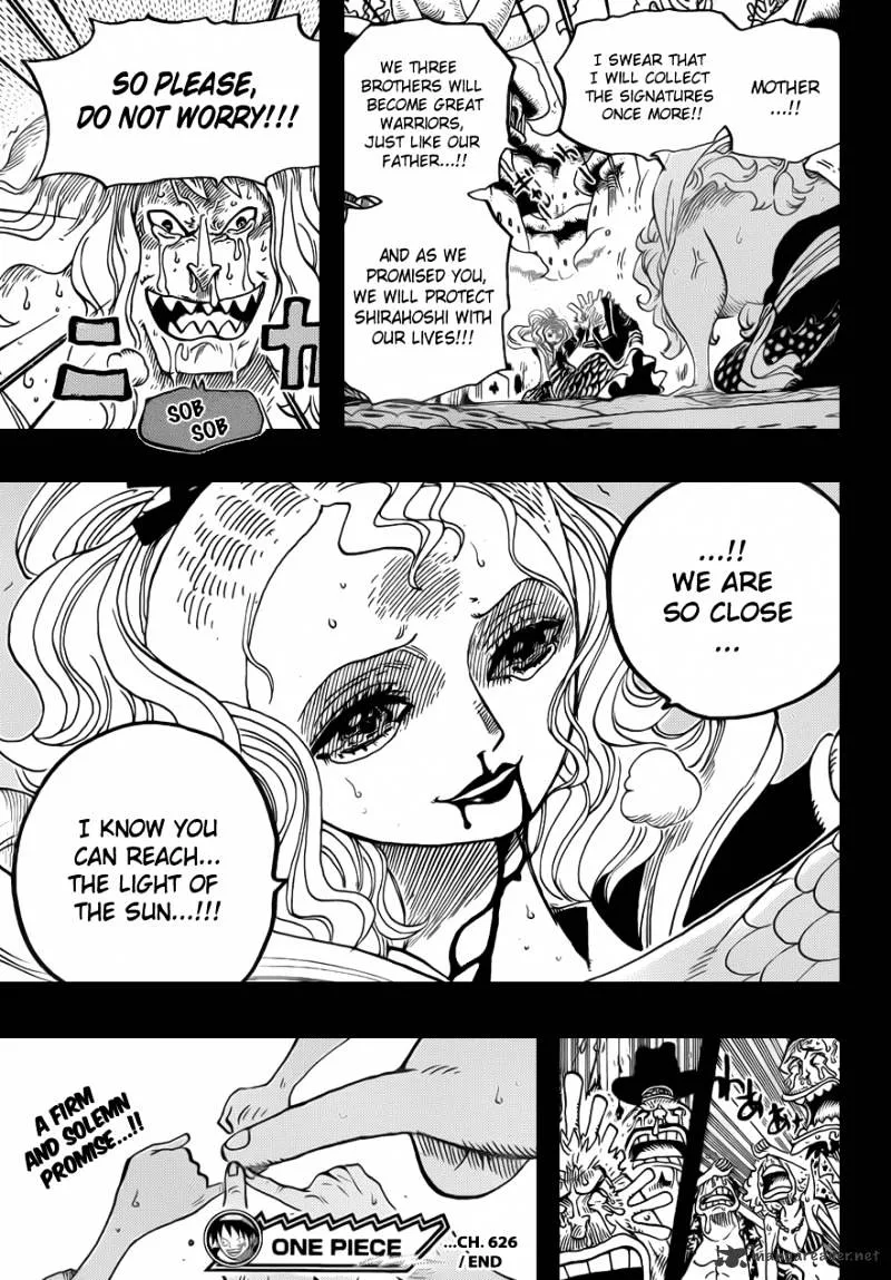 One Piece Chapter 626 page 20