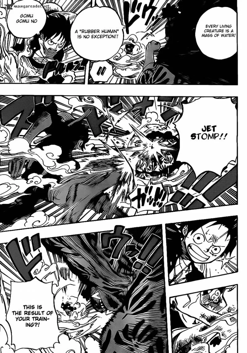 One Piece Chapter 629 page 5