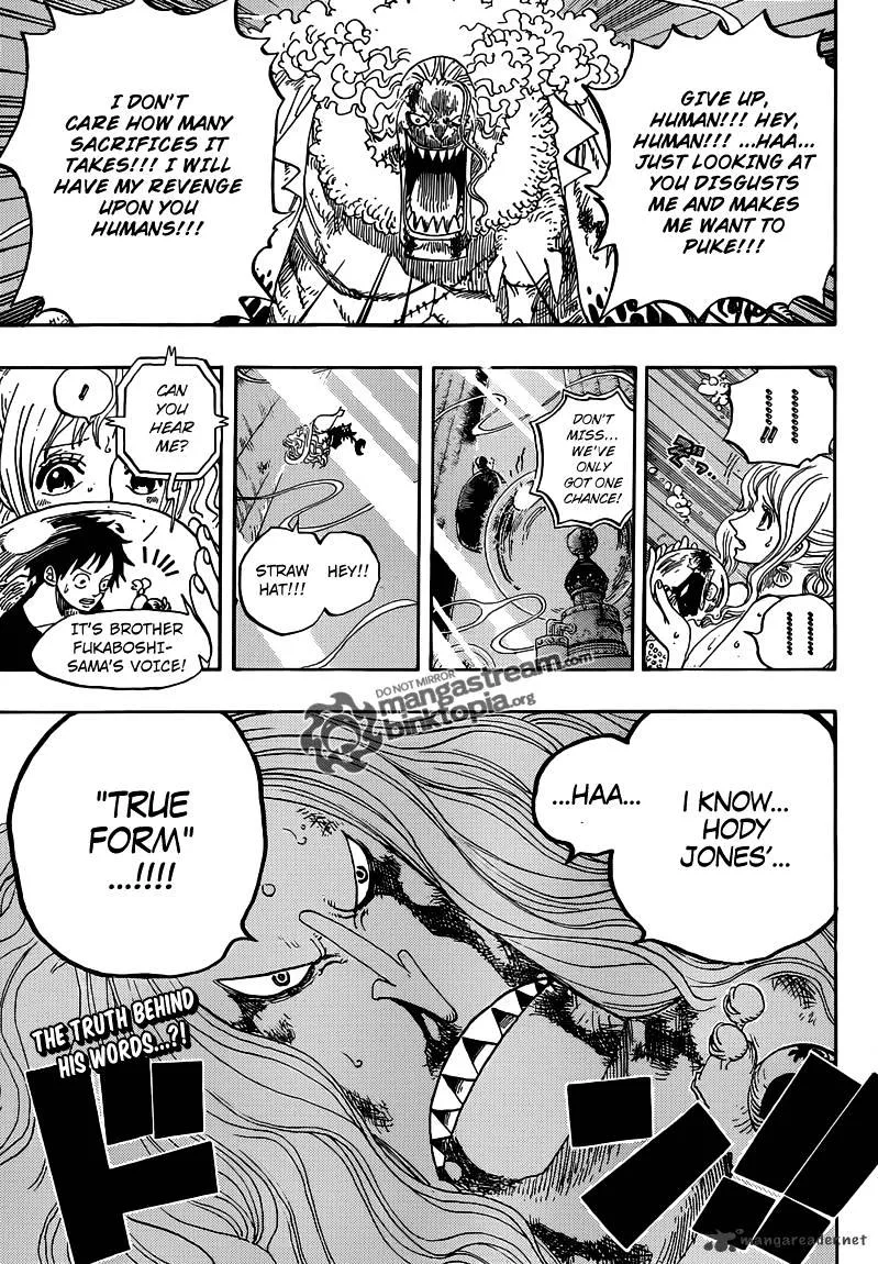 One Piece Chapter 641 page 19