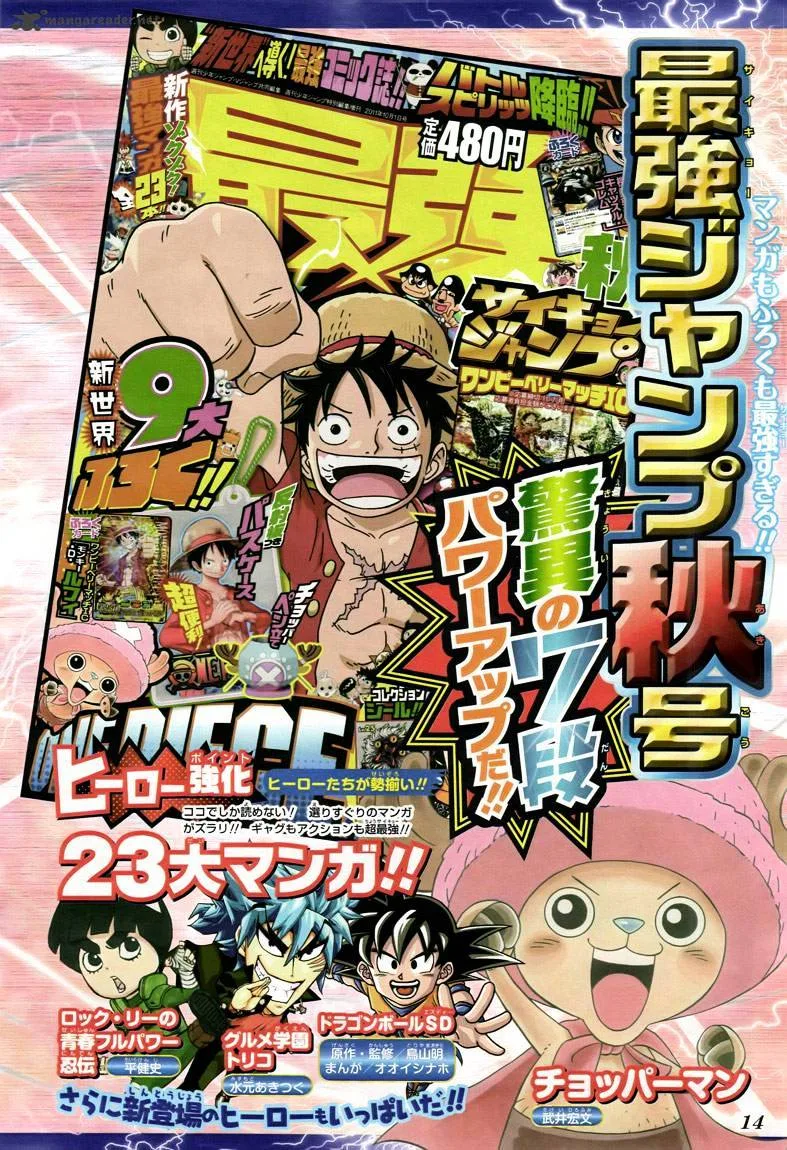One Piece Chapter 641 page 24