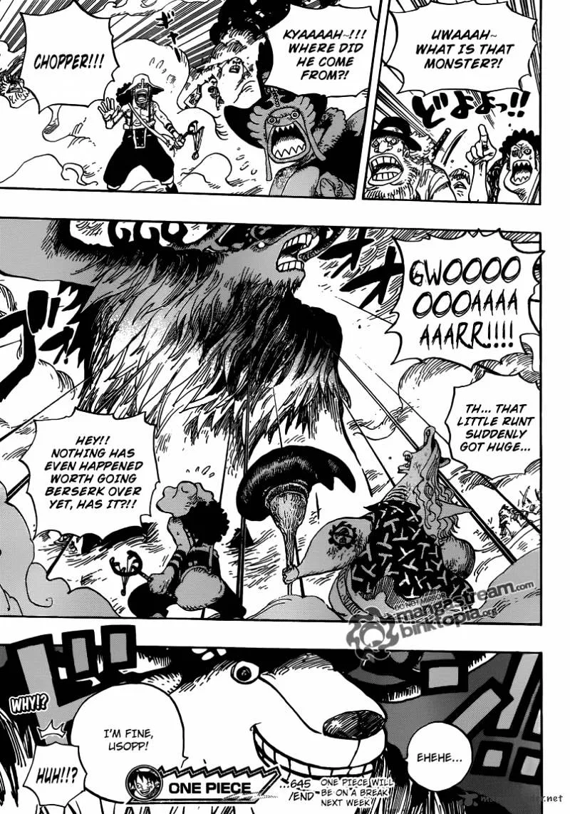 One Piece Chapter 645 page 17