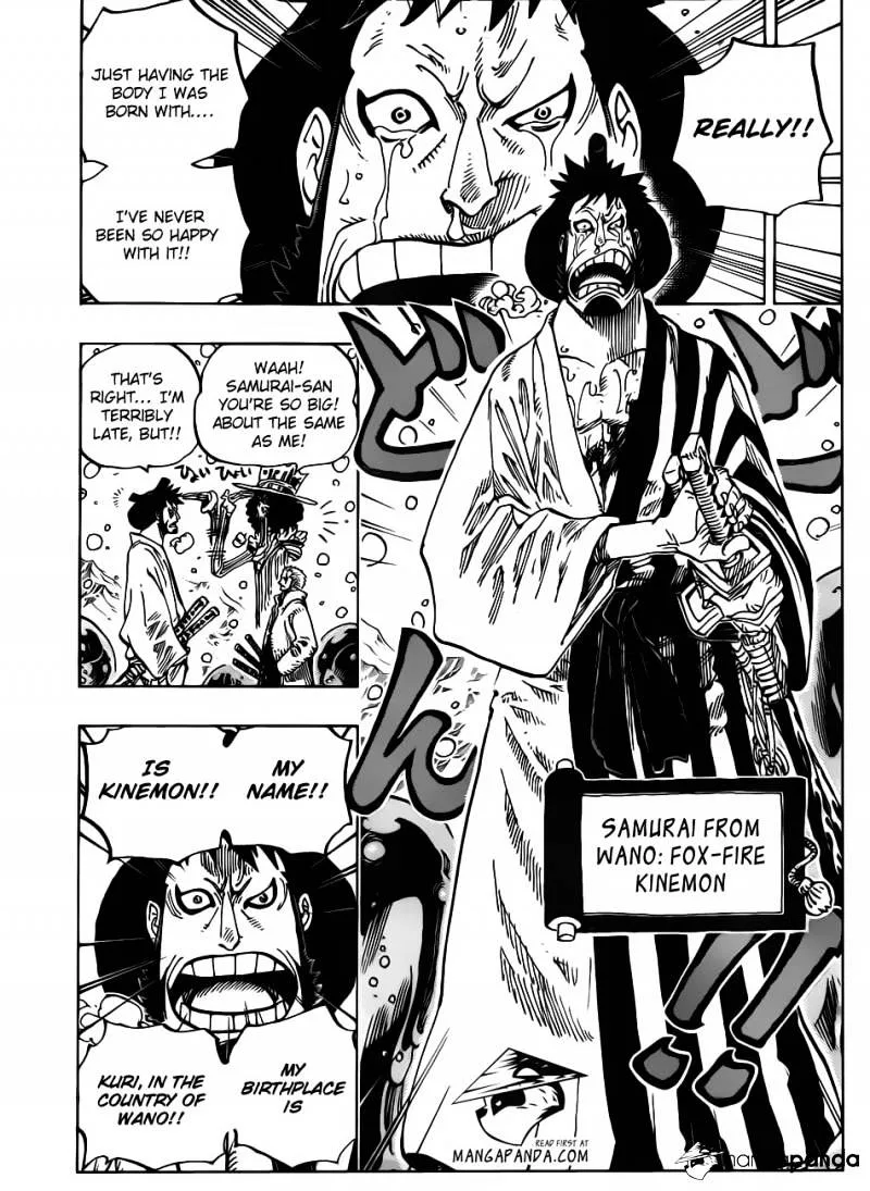One Piece Chapter 672 page 14