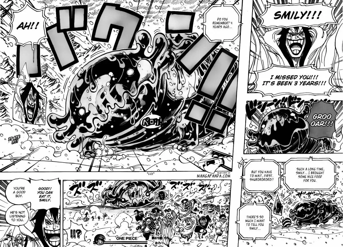 One Piece Chapter 675 page 18