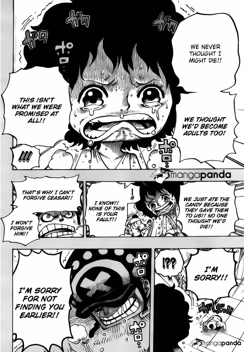 One Piece Chapter 688 page 14