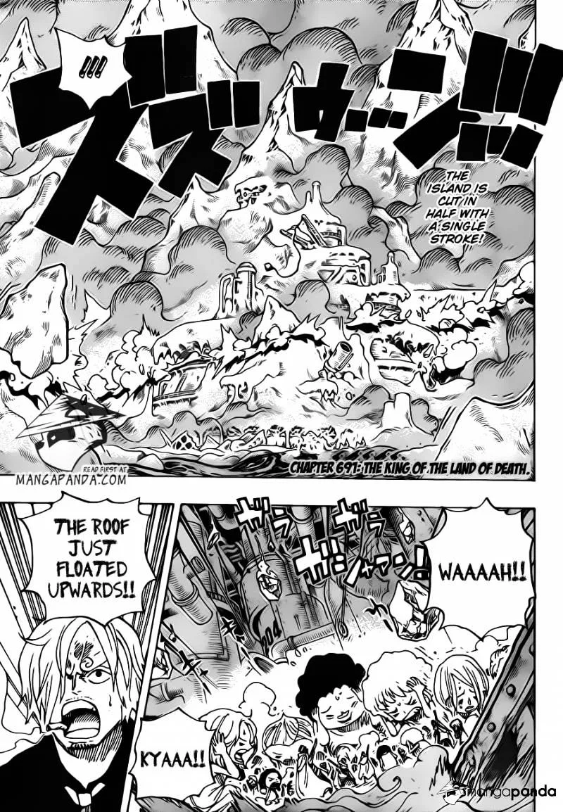 One Piece Chapter 691 page 3