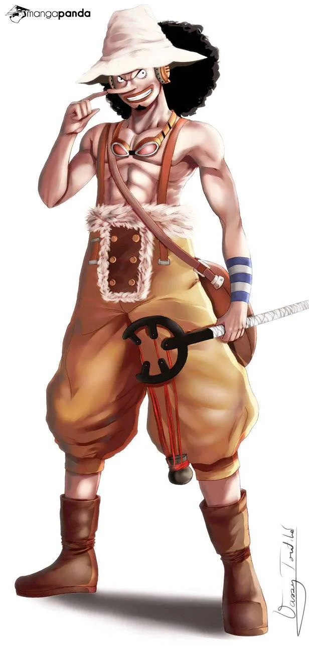 One Piece Chapter 695 page 2