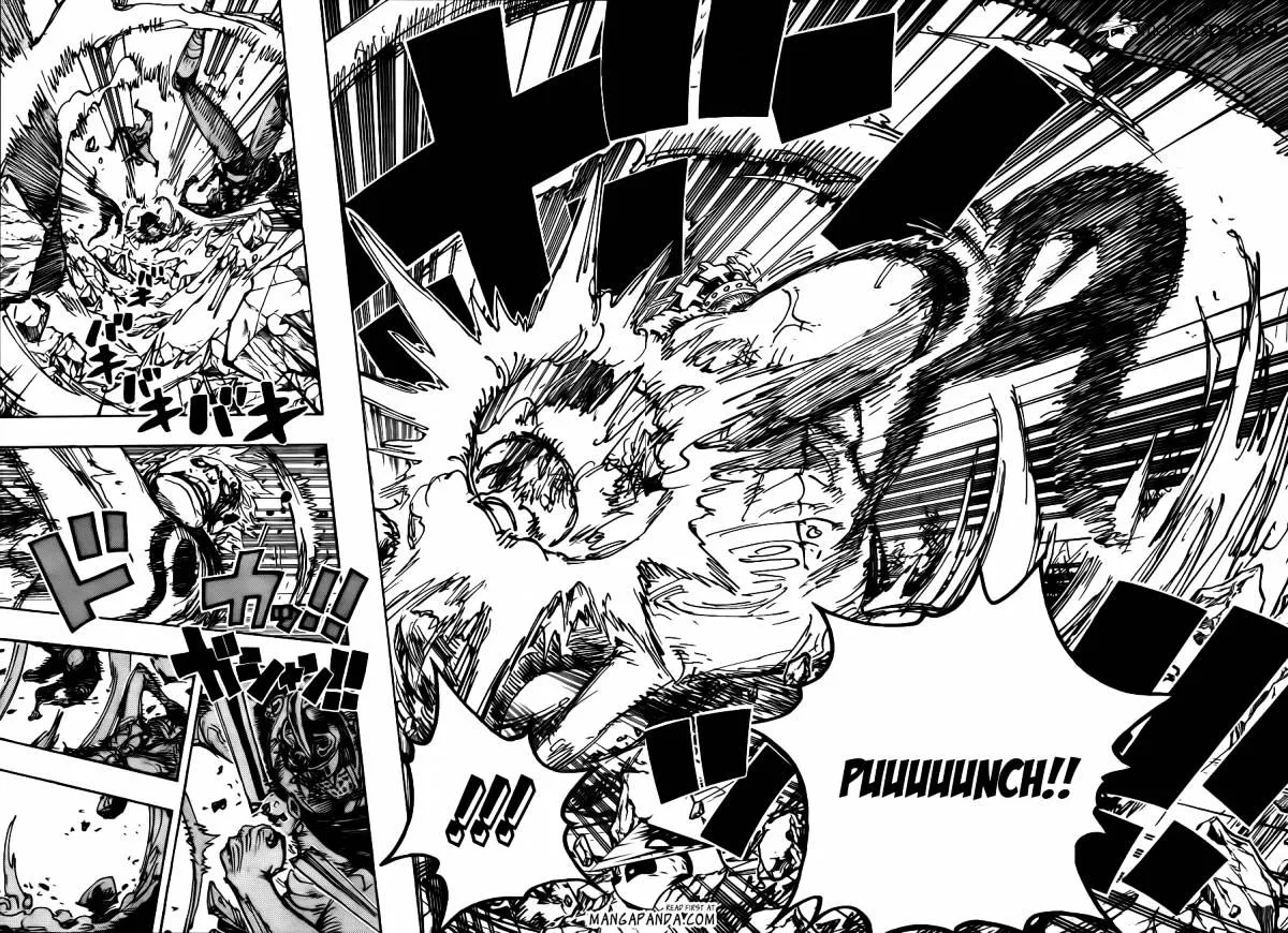 One Piece Chapter 709 page 14