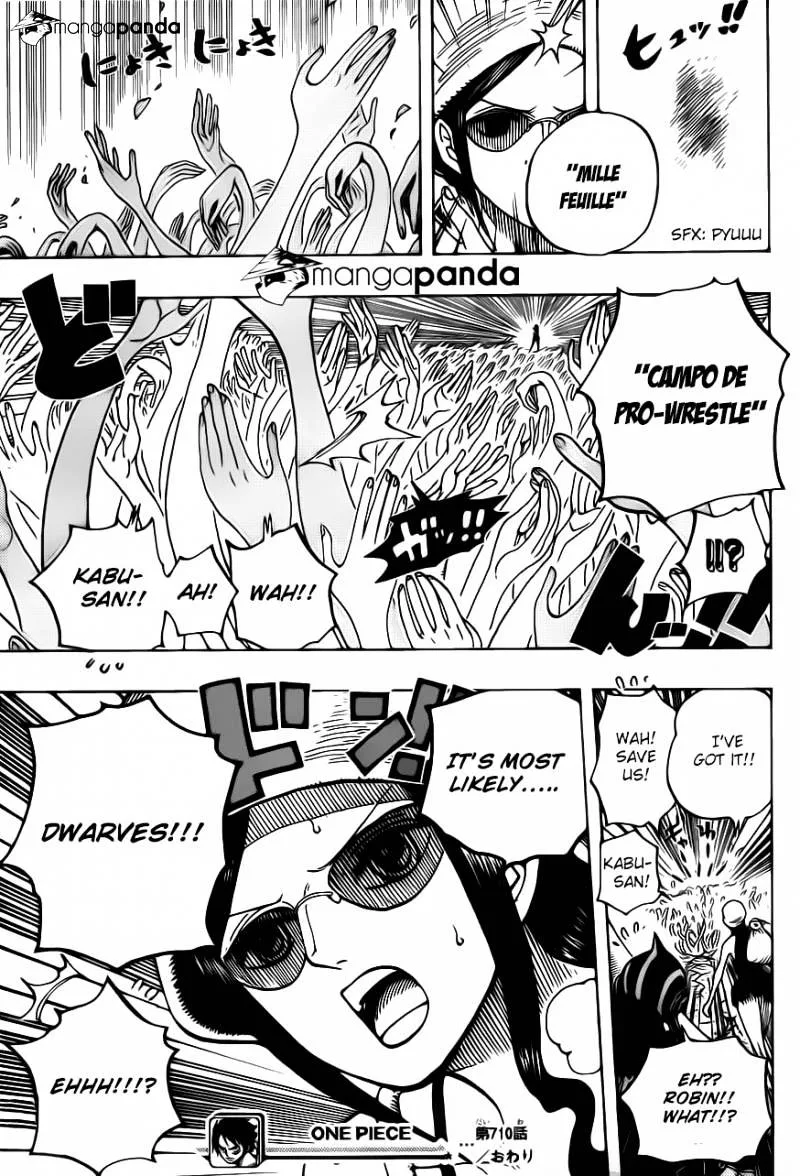 One Piece Chapter 710 page 18