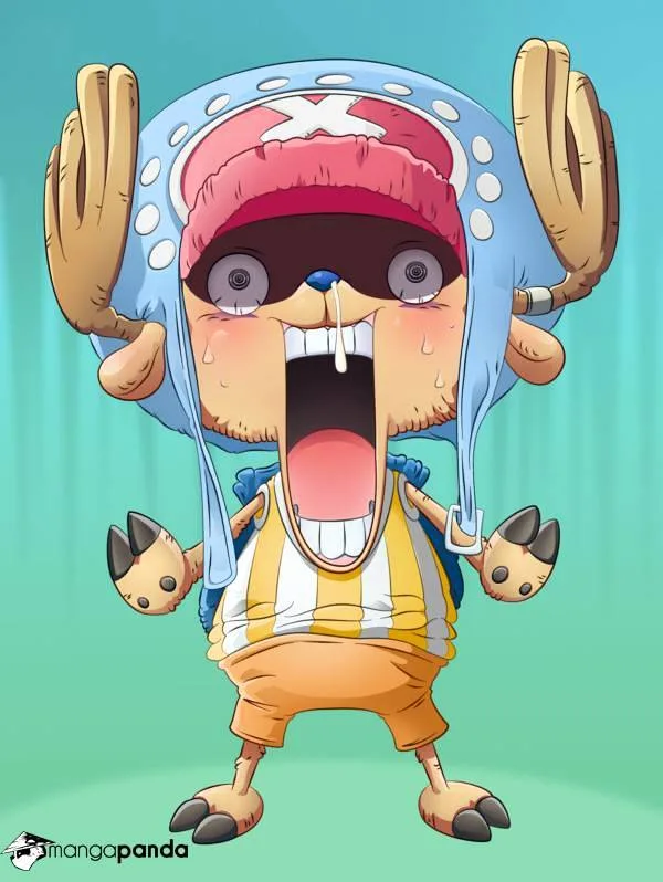 One Piece Chapter 719 page 19