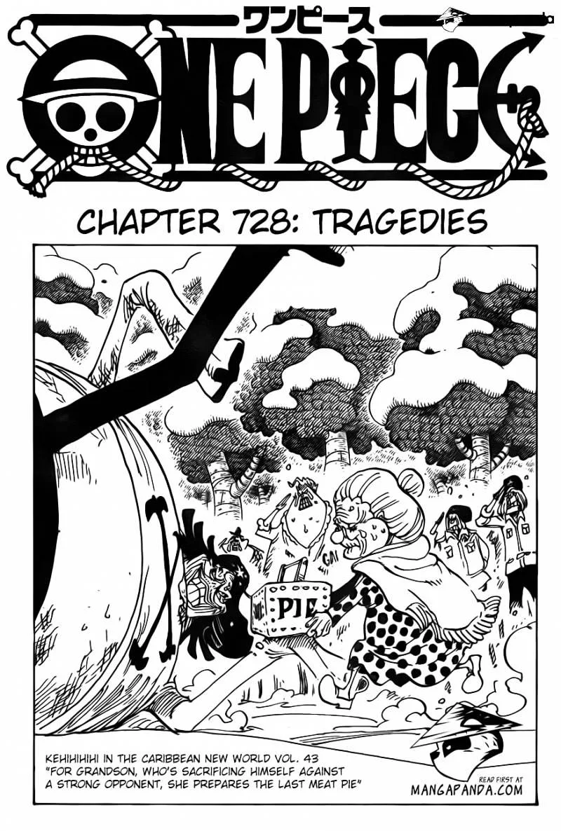 One Piece Chapter 728 page 3
