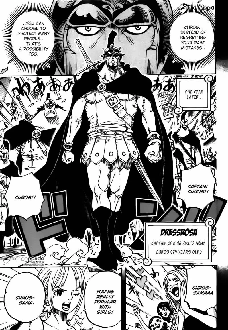 One Piece Chapter 742 page 5
