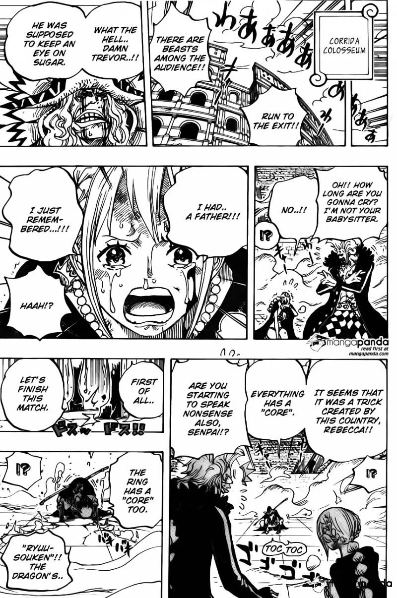 One Piece Chapter 743 page 18